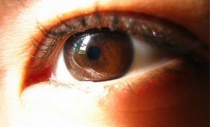 В глазу человека обнаружен новый орган