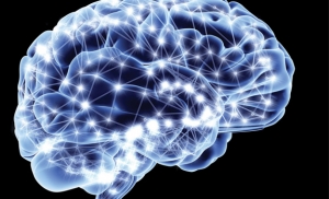 Имплантированный в головной мозг прибор избавит эпилептиков от приступов