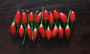 Употребление острой пищи повышает продолжительность жизни