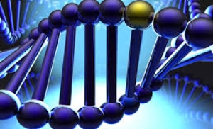 Зависит ли долголетие от хороших генов, либо от образа жизни?