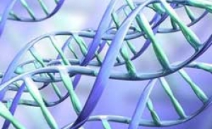 Генетическое изменение, связанное с серьезным риском заболевания гриппом