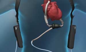 Казахстан важный партнер для мировых инвесторов