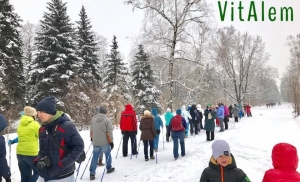 Бесплатный мастер-класс по скандинавской ходьбе